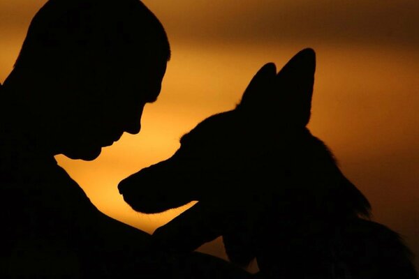 Il cane è il migliore amico dell uomo