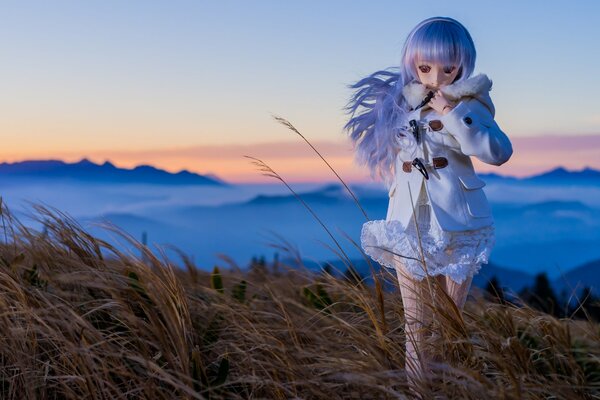 Puppe mit blonden Haaren im Feld