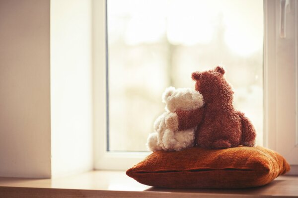 Stuffed toys on pillows look out the window