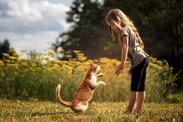 Gatto rosso. Ragazza con gatto in natura