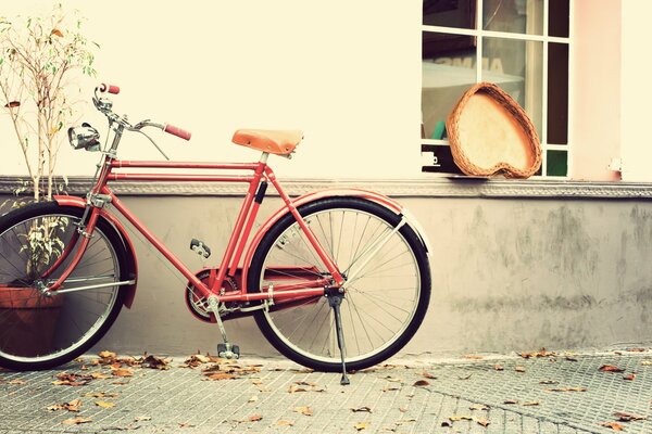 Vélo près de la maison sur une journée d automne