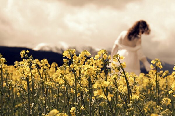 The field of flowers is a beautiful day