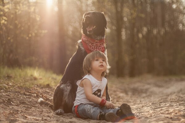 A giudicare dalla foto, e la verità è che soyaka è un amico dell uomo
