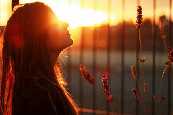 Beautiful girl without glasses on sunset background