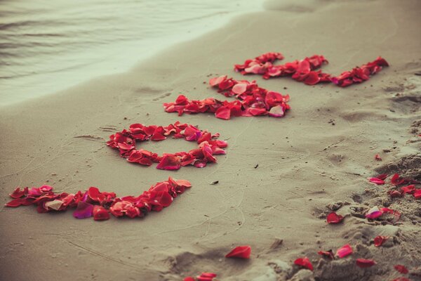 L amour de pétales de rose sur le sable fin de la plage
