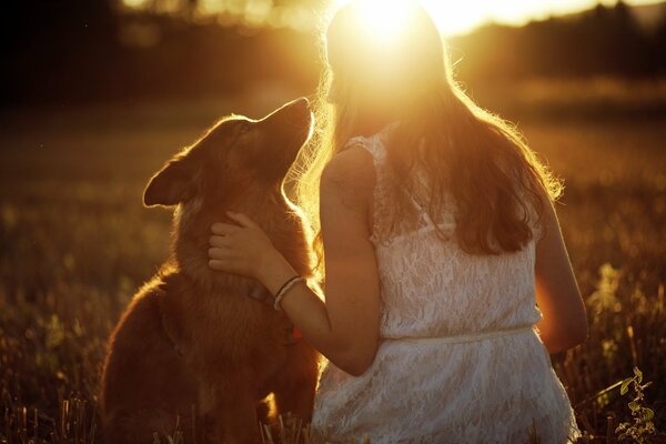Cane con ragazza seduta ai raggi del tramonto