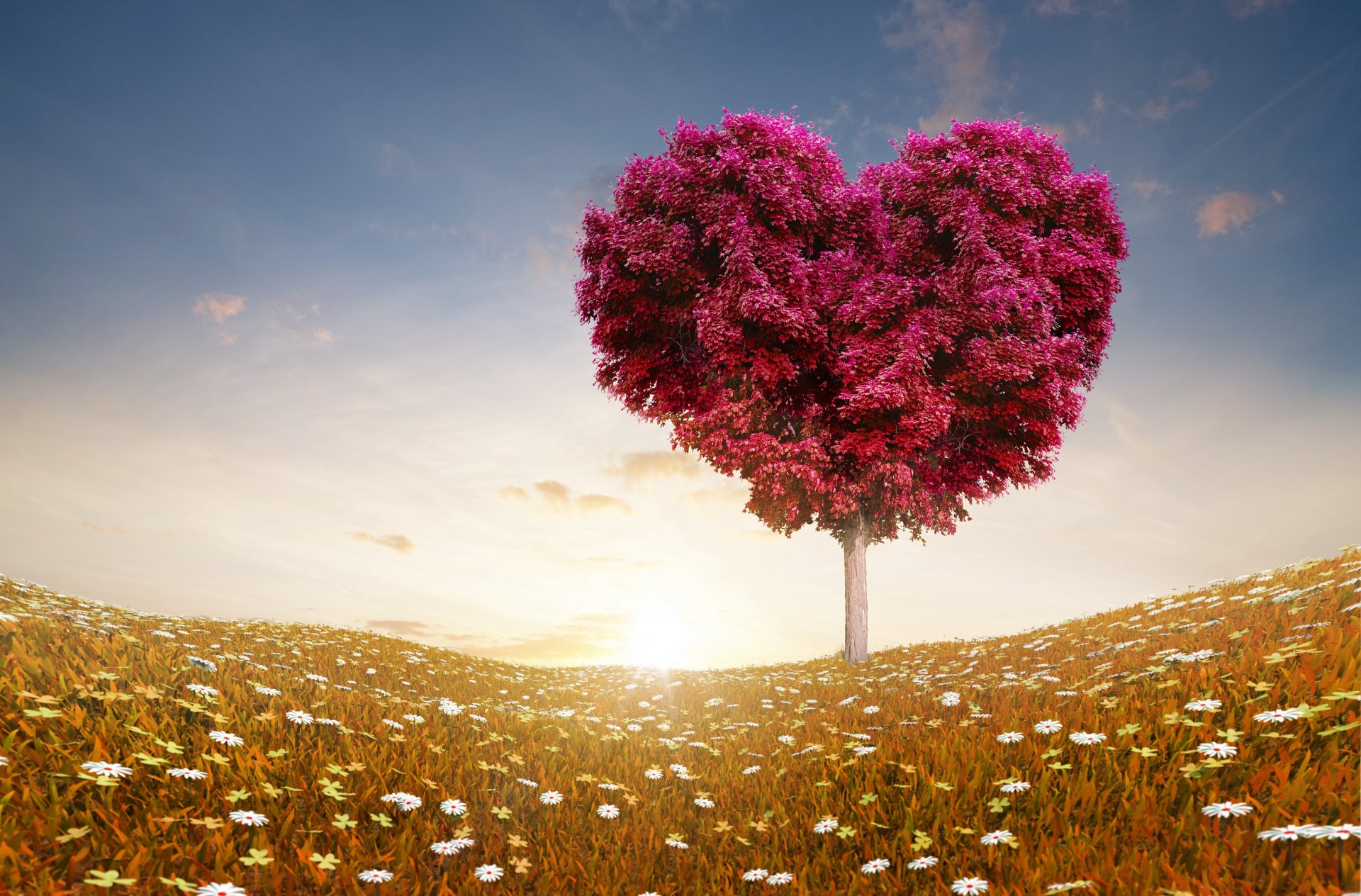 liebe liebesromane baum feld blumen himmel wolken rosen natur valentinstag romantik herz