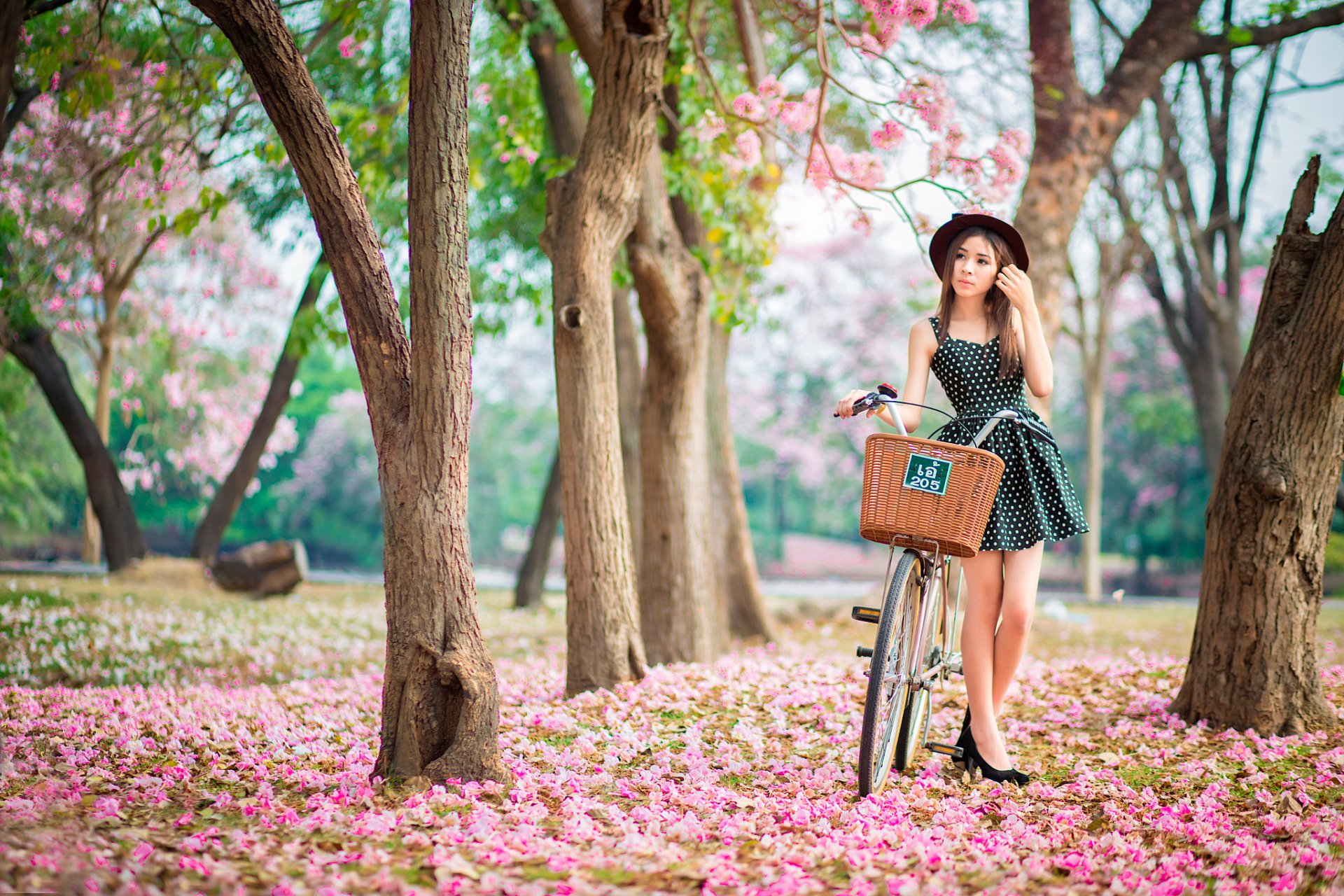 jardín de rosas niña bicicleta primavera floración