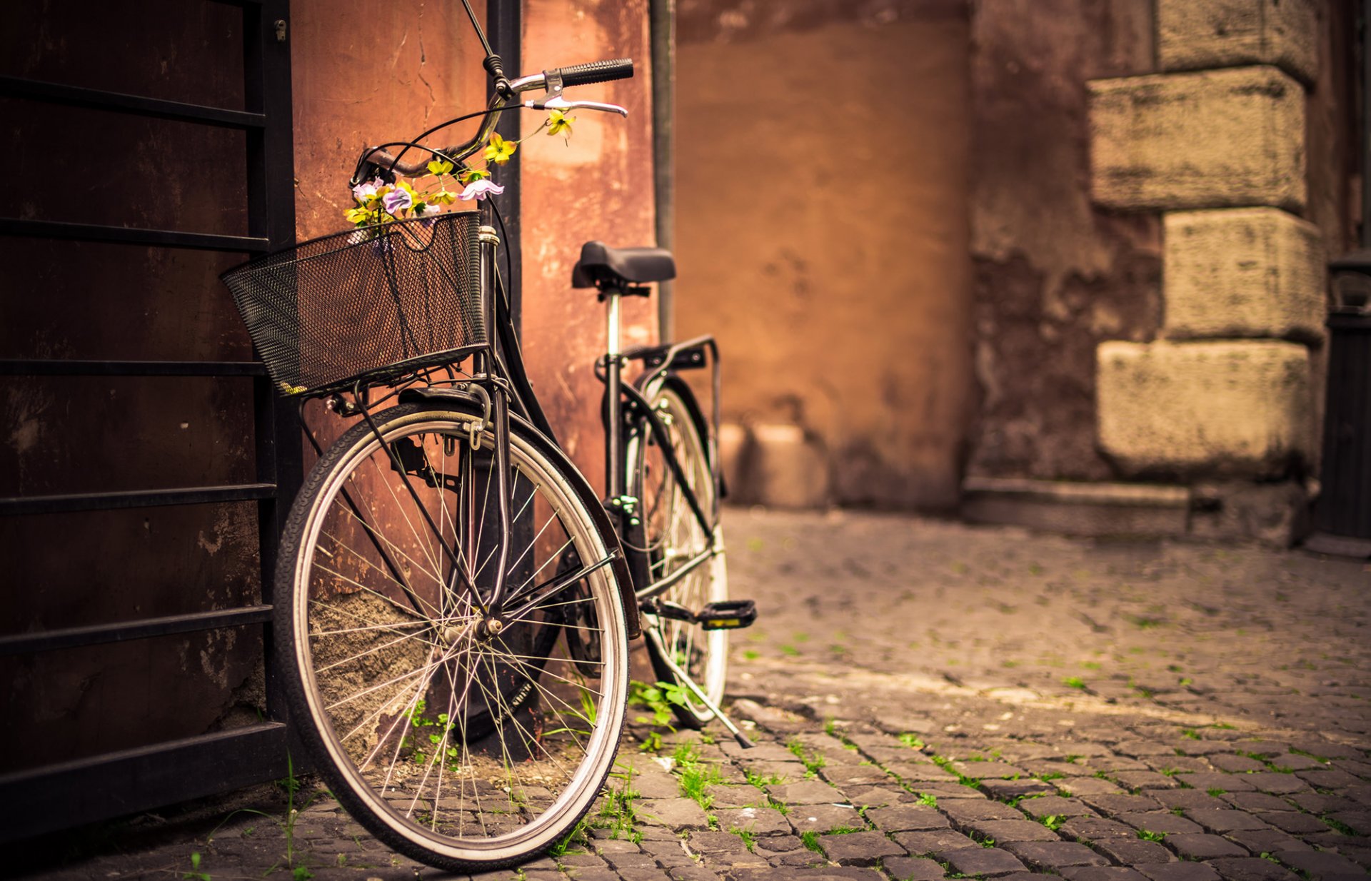 fahrrad korb blumen wand pflasterstein straße