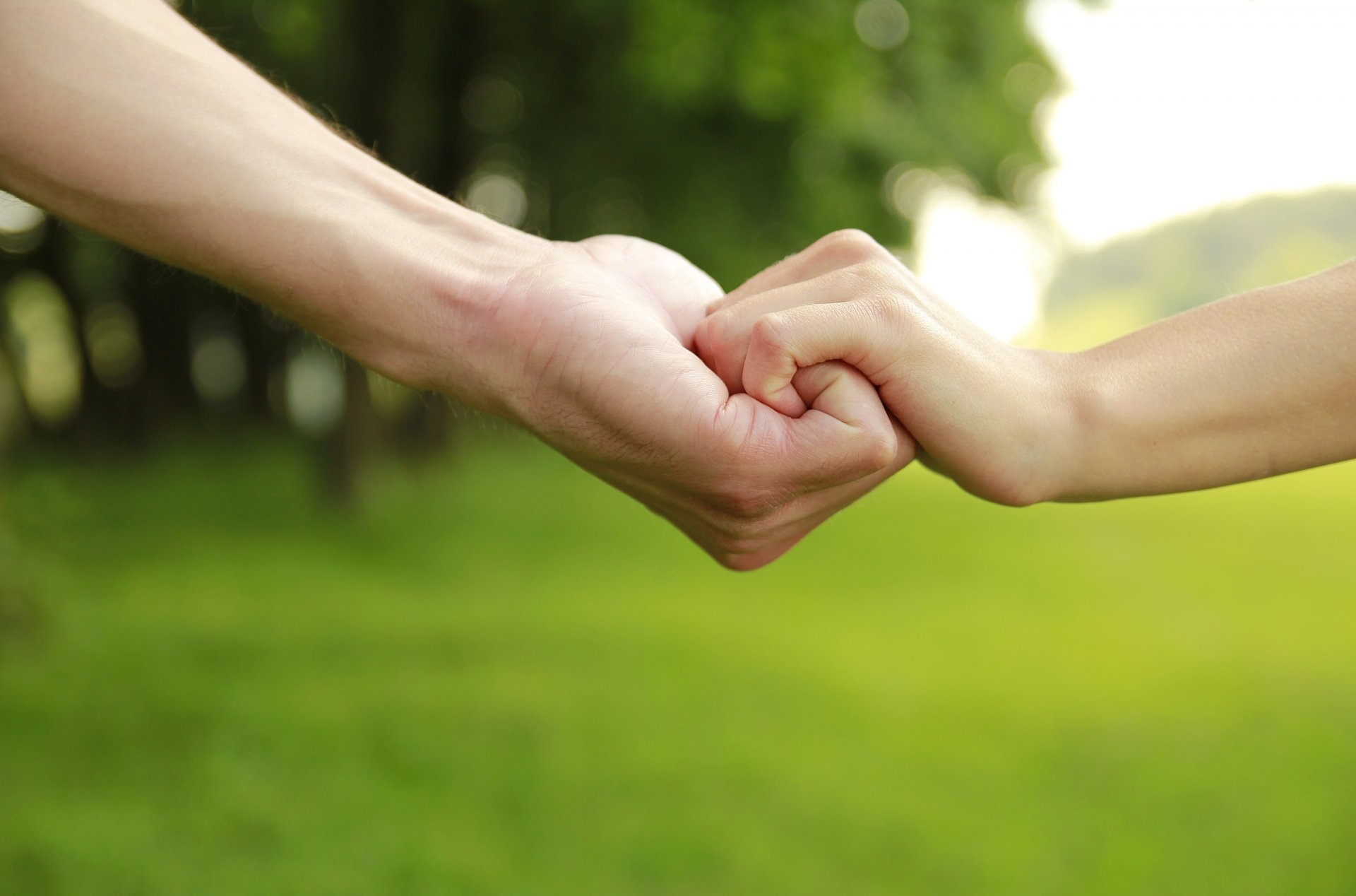 stimmungen kerl mann kind kinder mädchen junge vater vater sohn schutz stütze hände grün hintergrund bäume tapete widescreen vollbild widescreen widescreen