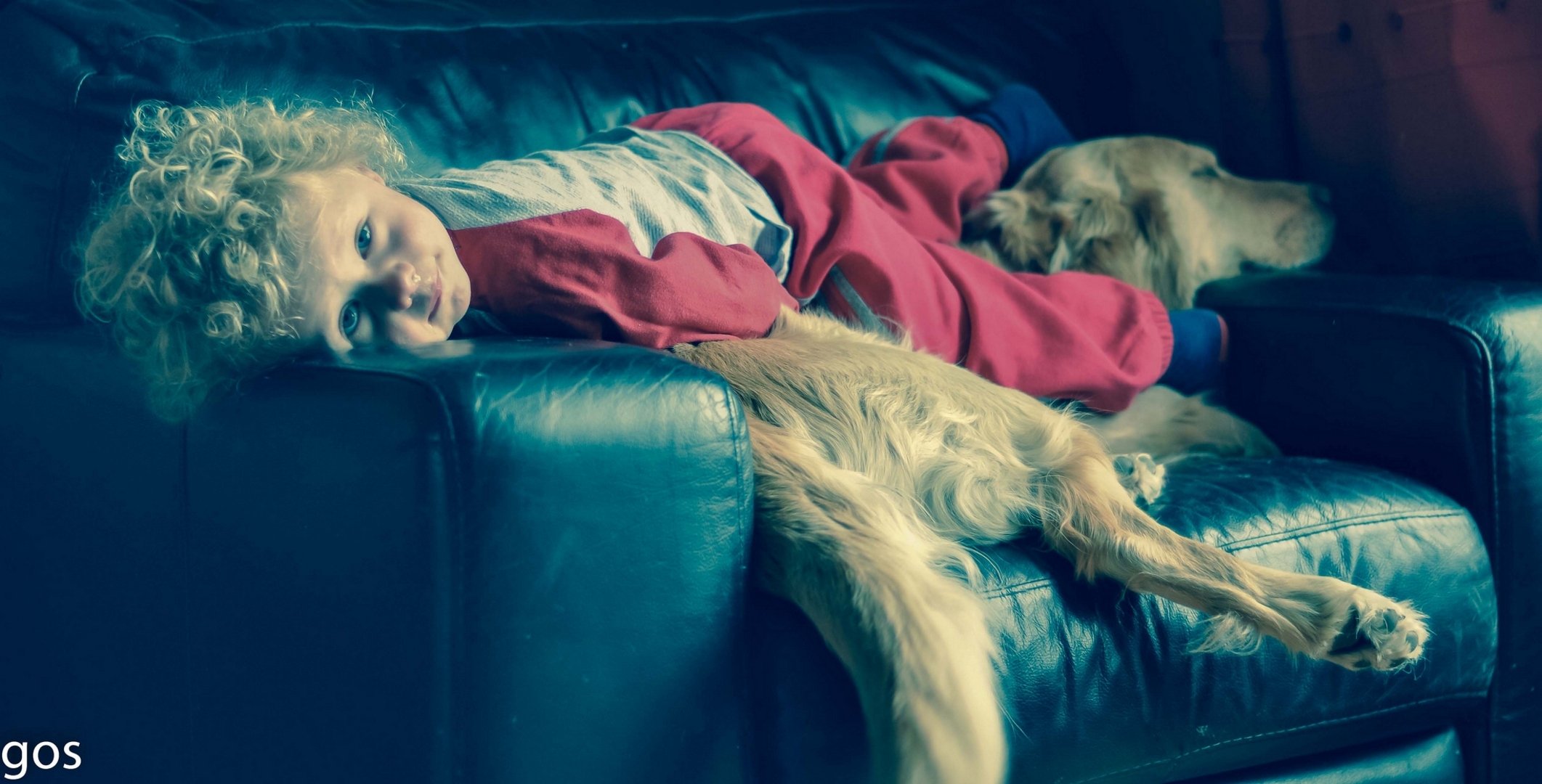 le garçon le chien les amis