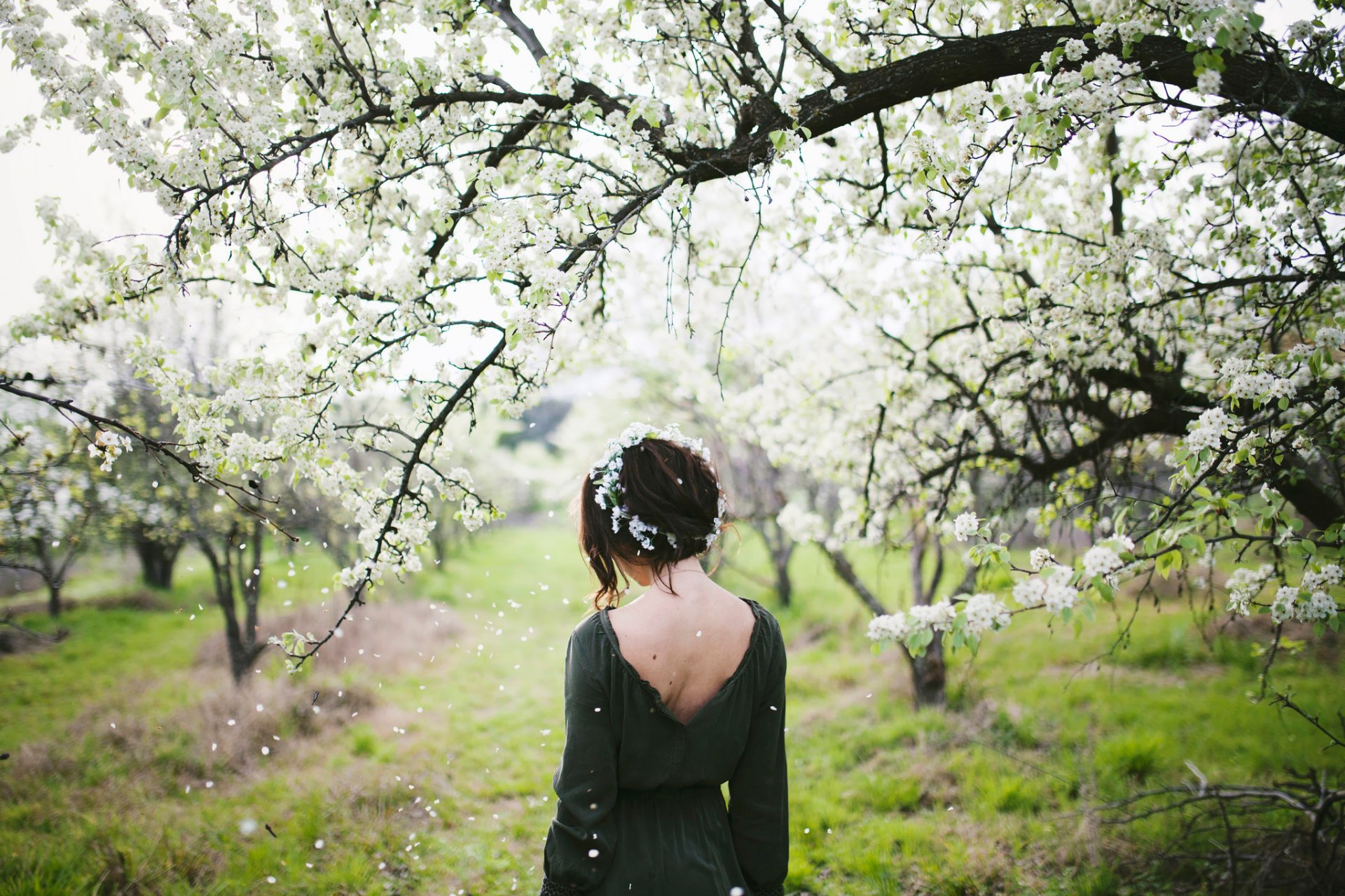 primavera niña flor corona