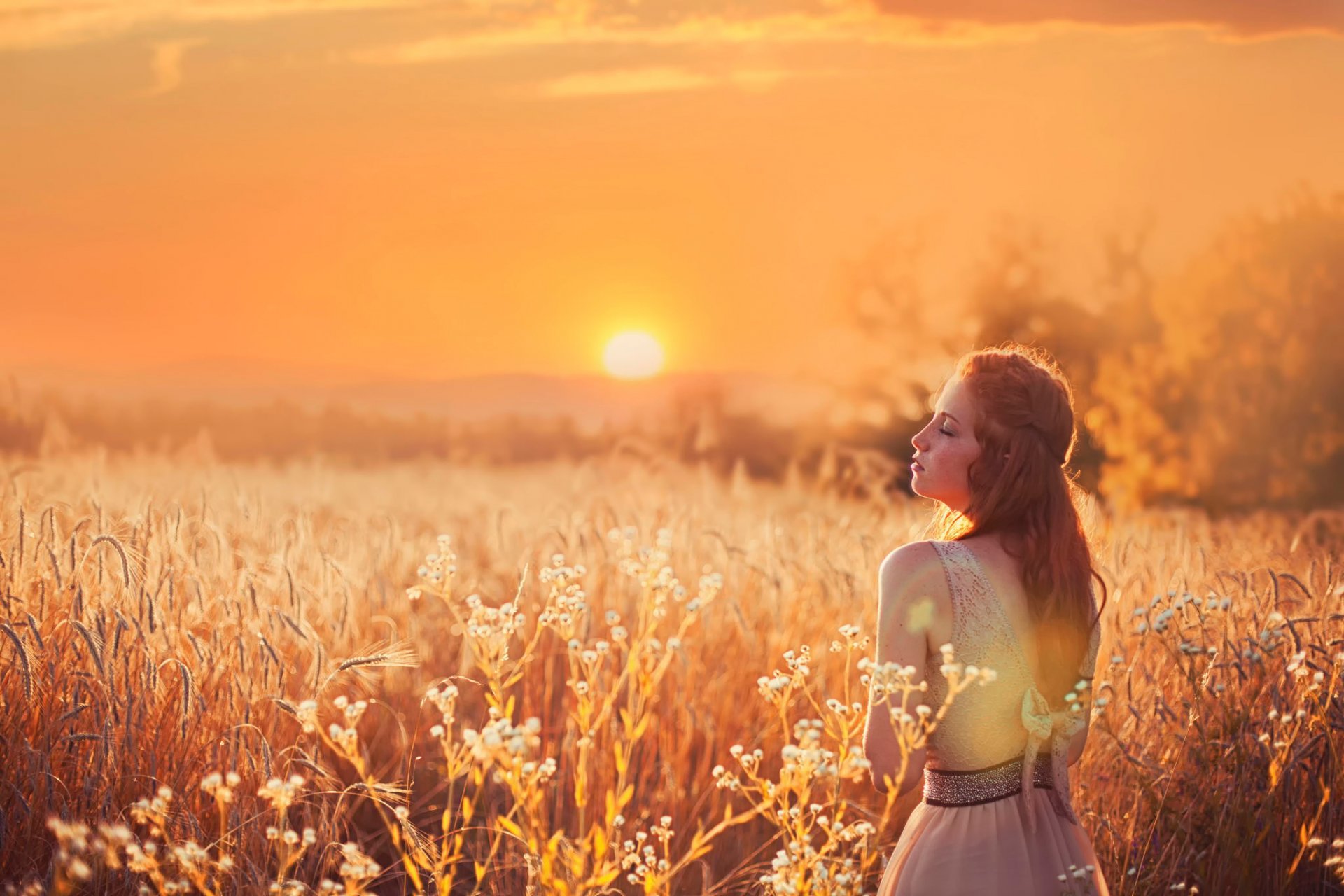 le soleil un champ une fille rousse robe