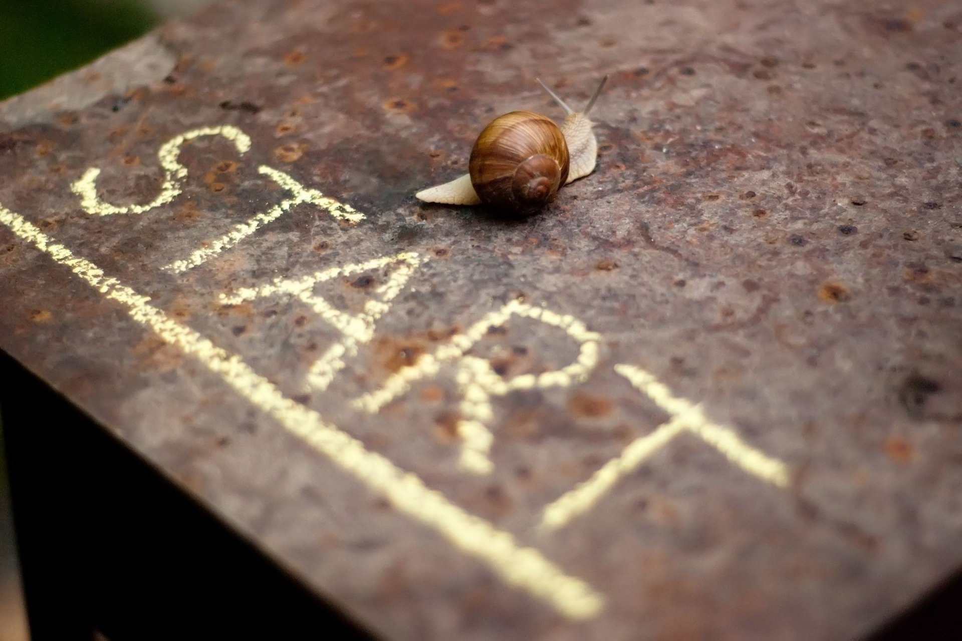 stimmung kap stern start start schnecke inschrift hintergrund tapete widescreen vollbild widescreen