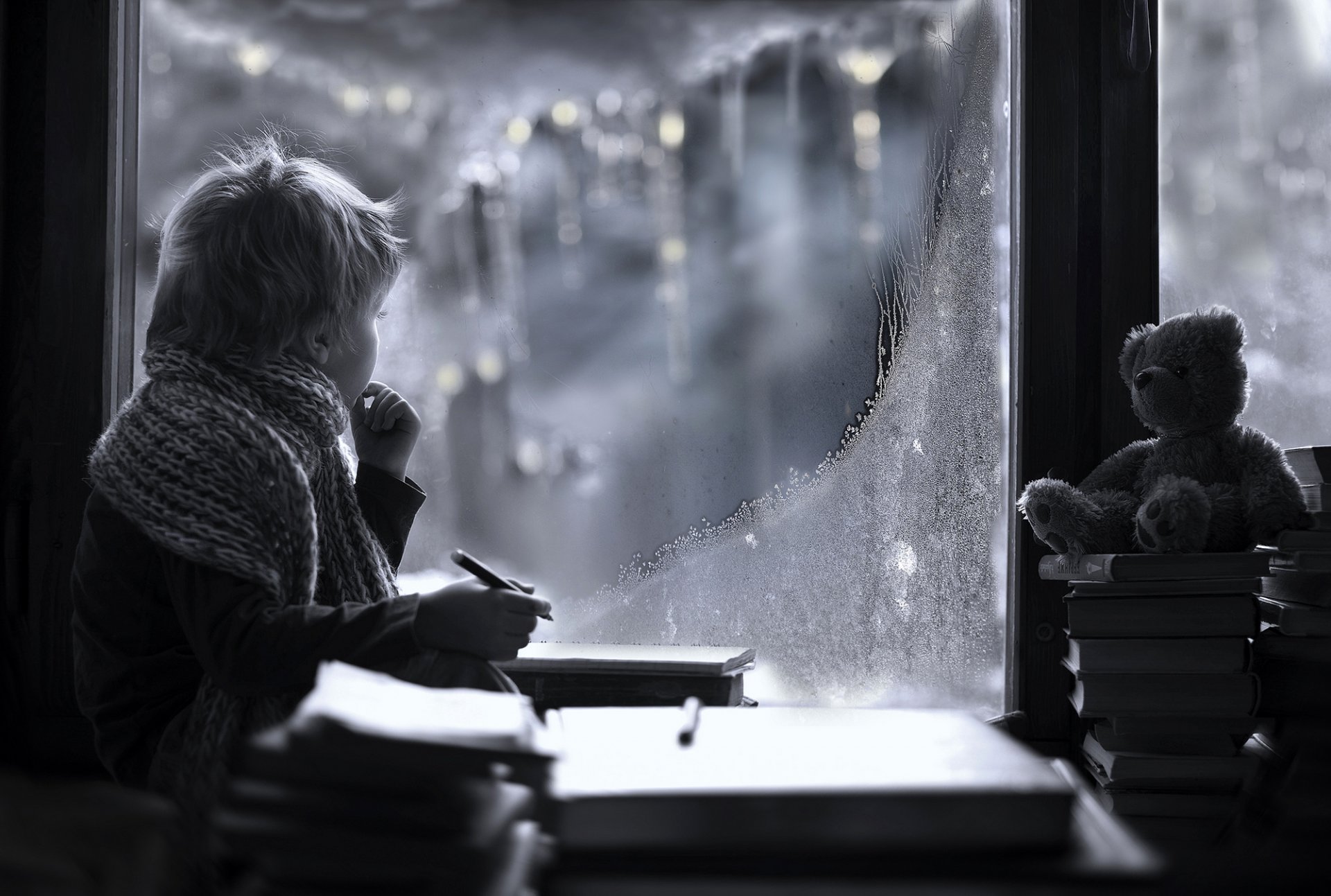 ragazzo bambino sciarpa vista finestra inverno gelo matita libri orso giocattolo elena shumilova