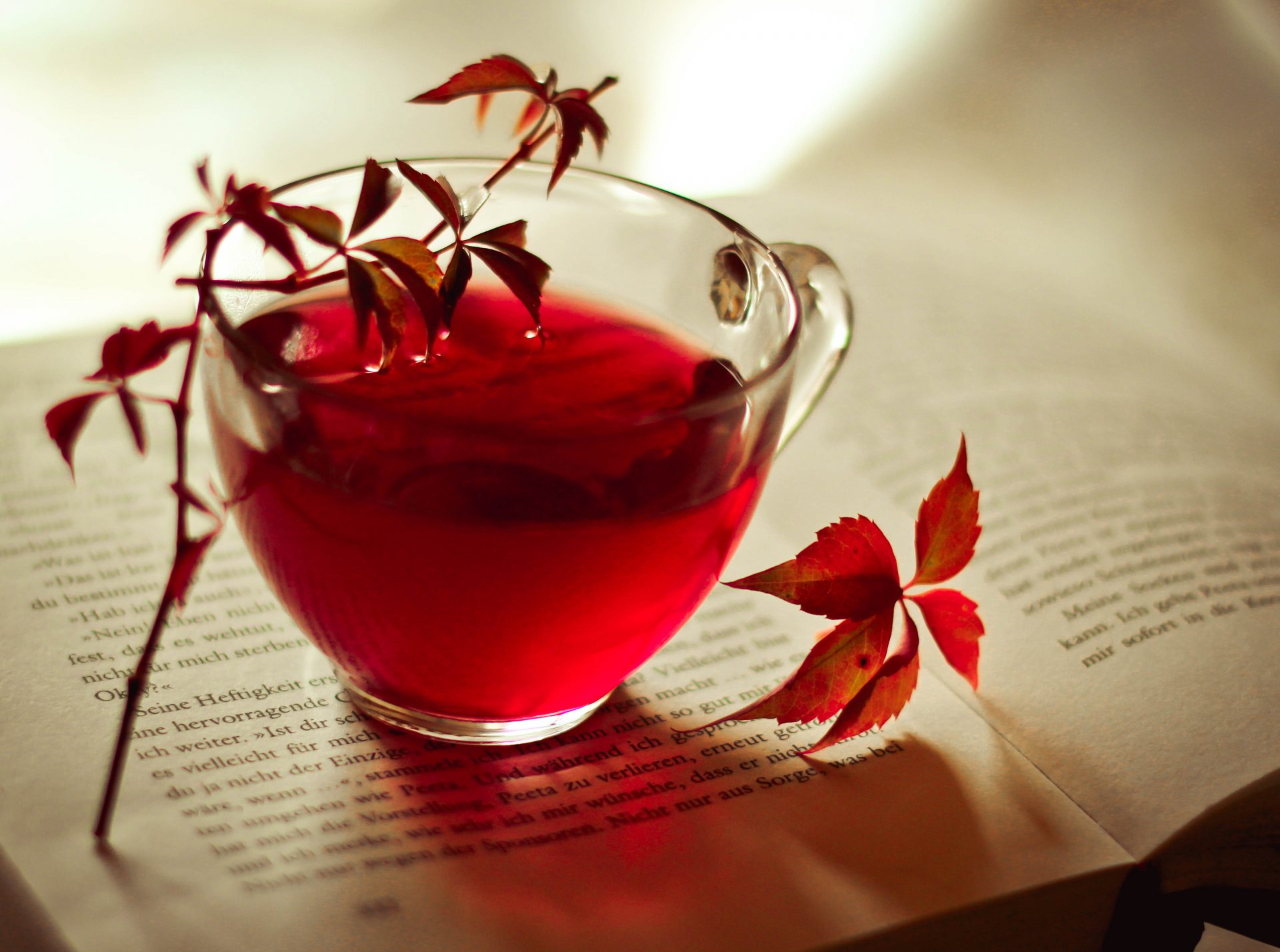 tea cup book leaves red maroon autumn