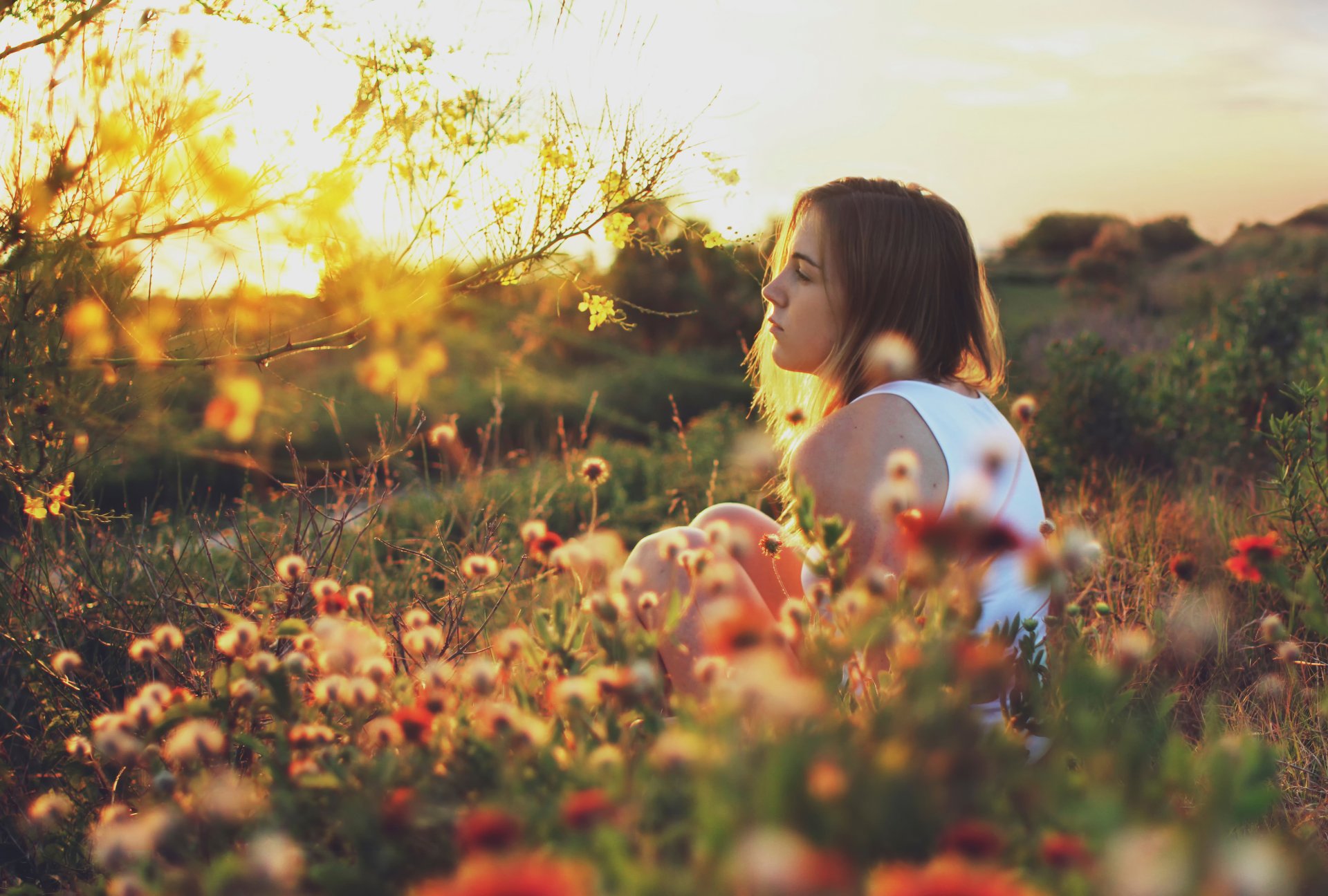 l été le soleil la jeune fille sur la nature