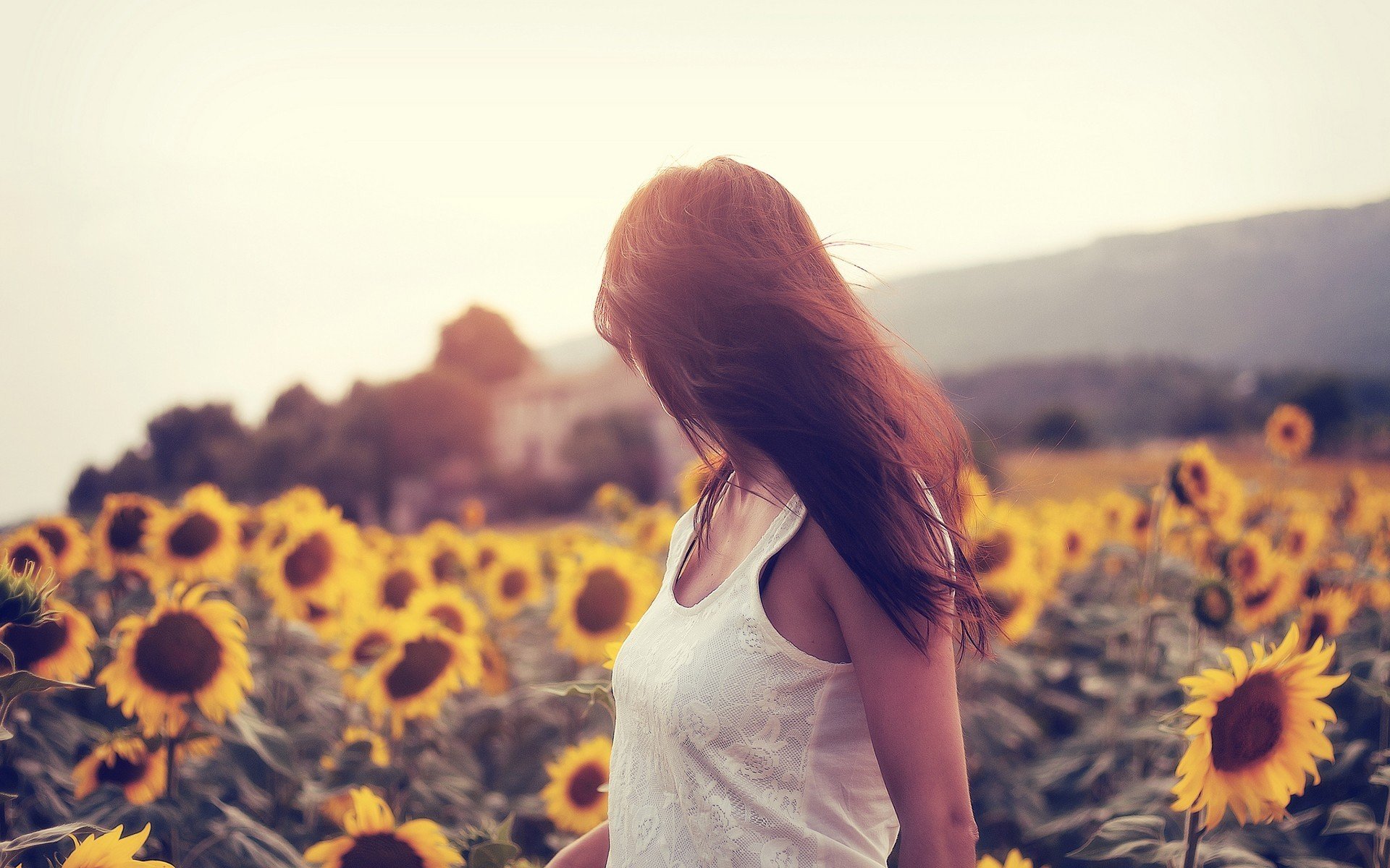 girl pose the field sunflower