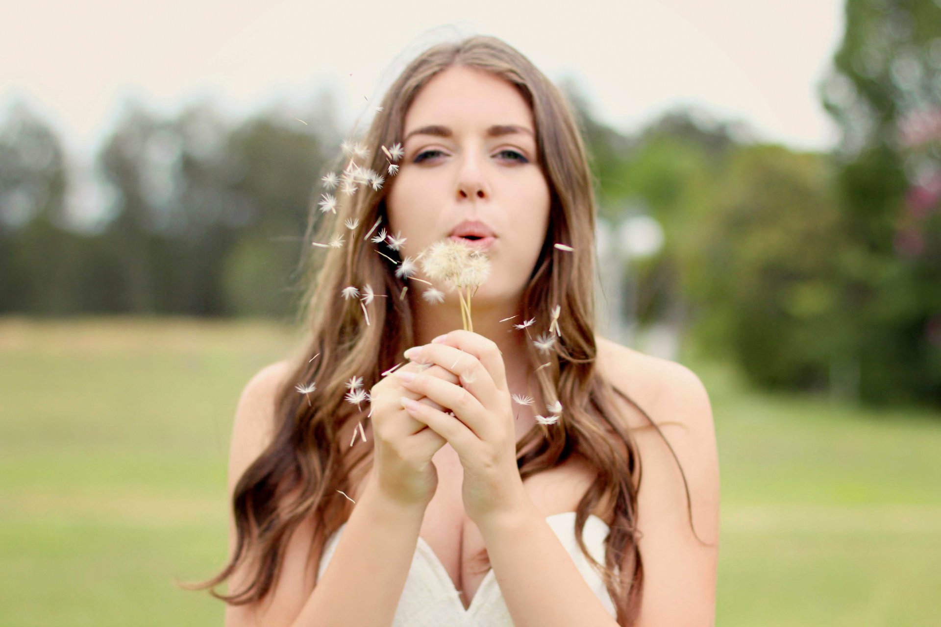 blowin in the wind girl dandelion