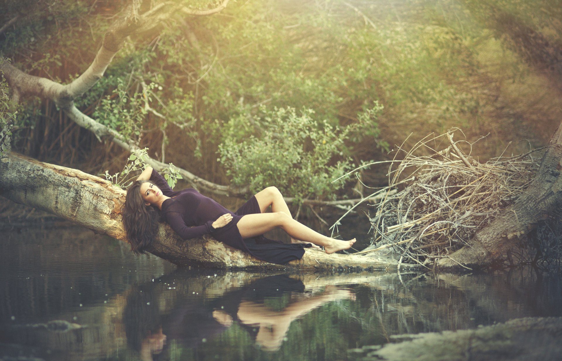 tatiana alvarez la robe le bois l eau le reflet de l 