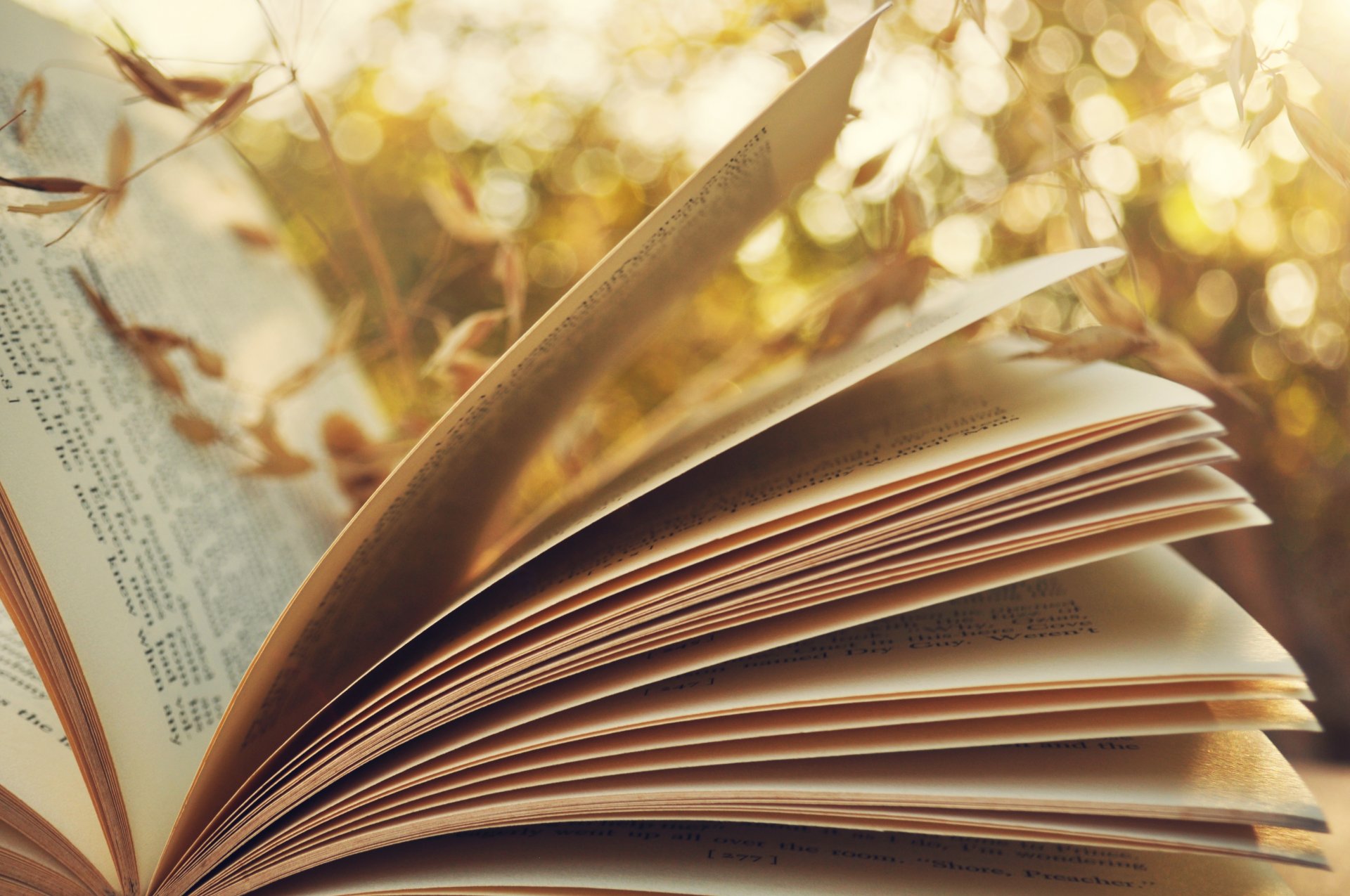 book pages spike background green bokeh