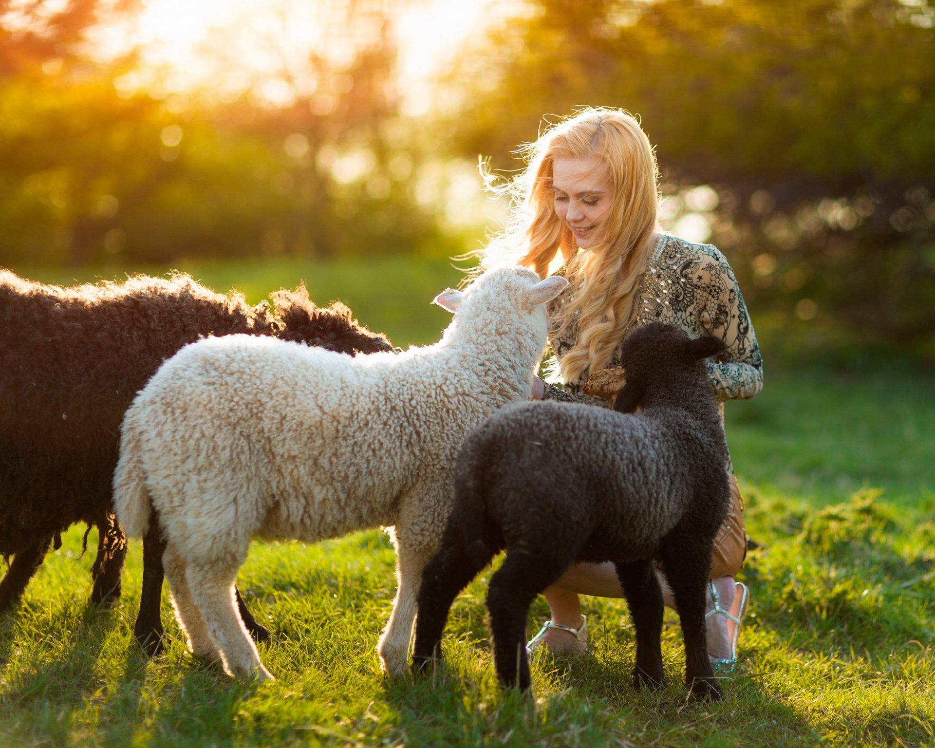 la jeune fille l agneau le soleil l été