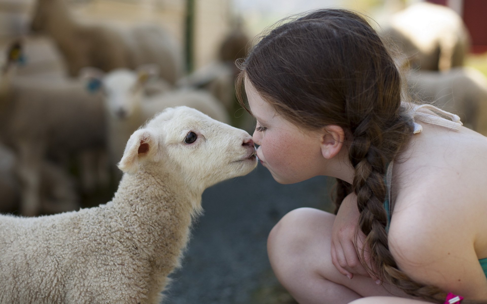 fille de mouton de l humeur