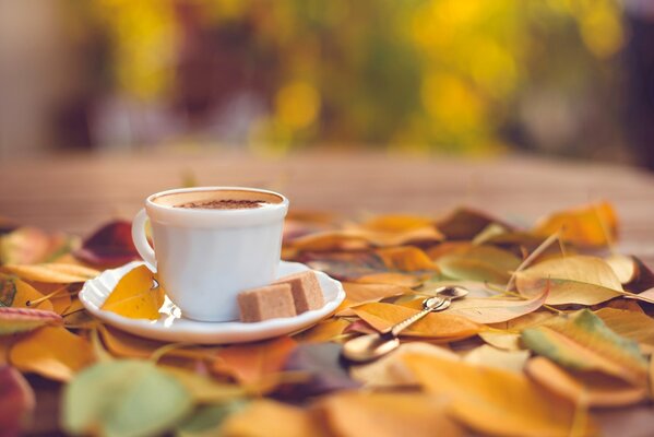 A white cup with coffee and sugar on a saucer against the background of autumn leaves