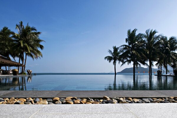 Exotic pool on the background of palm trees