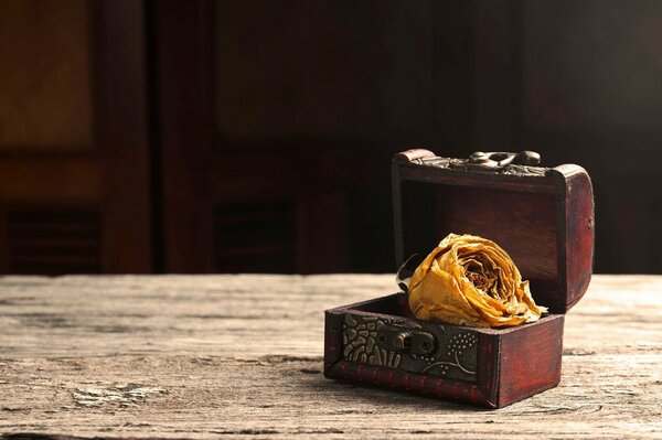 A dried rosebud in a chest