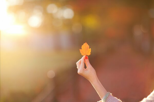 Mano della ragazza con foglia gialla autunnale