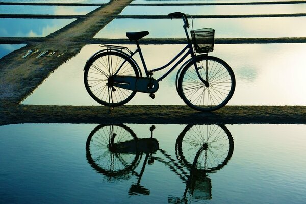 Un vélo avec un panier se reflète dans l eau