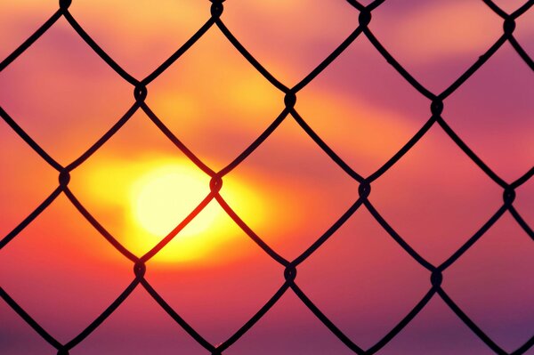 Beautiful sunset behind a copper fence