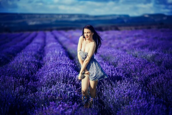 An immense lavender field and a brunette in a dress of the same color