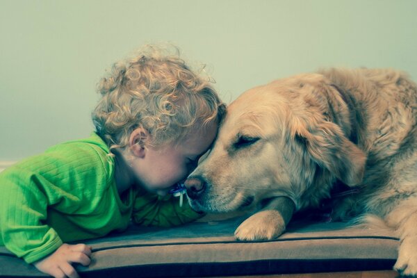 Kinky bambino che gioca con il cane