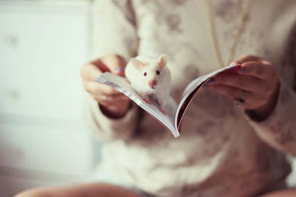 A girl with an open book and a white rat