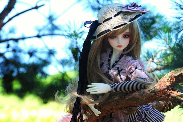 Doll with long hair and a hat in nature