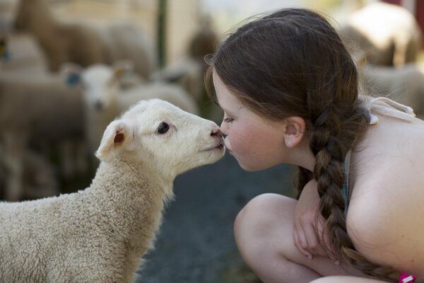 A girl with a braided braid kisses a lamb