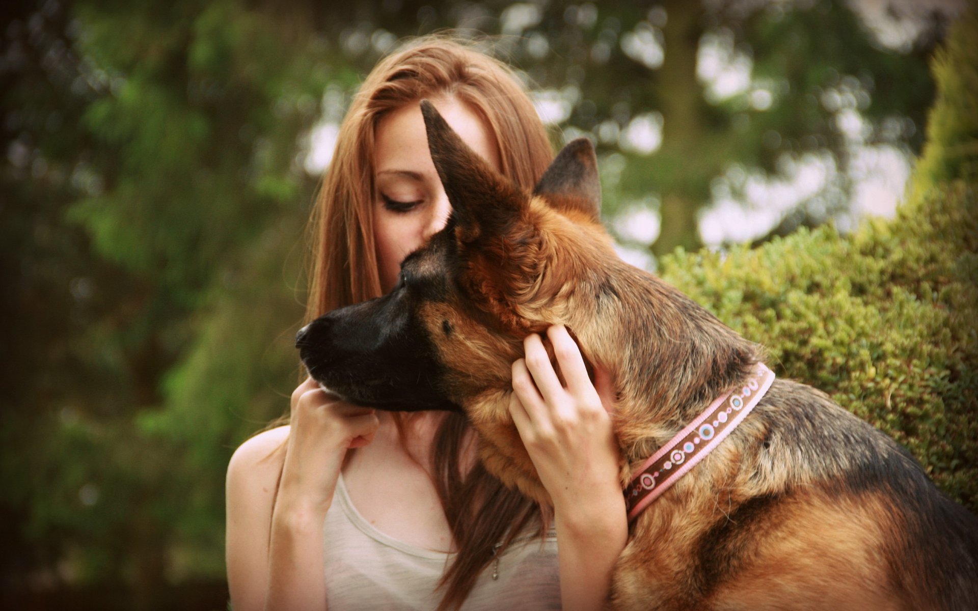 mädchen schäferhund hund tier