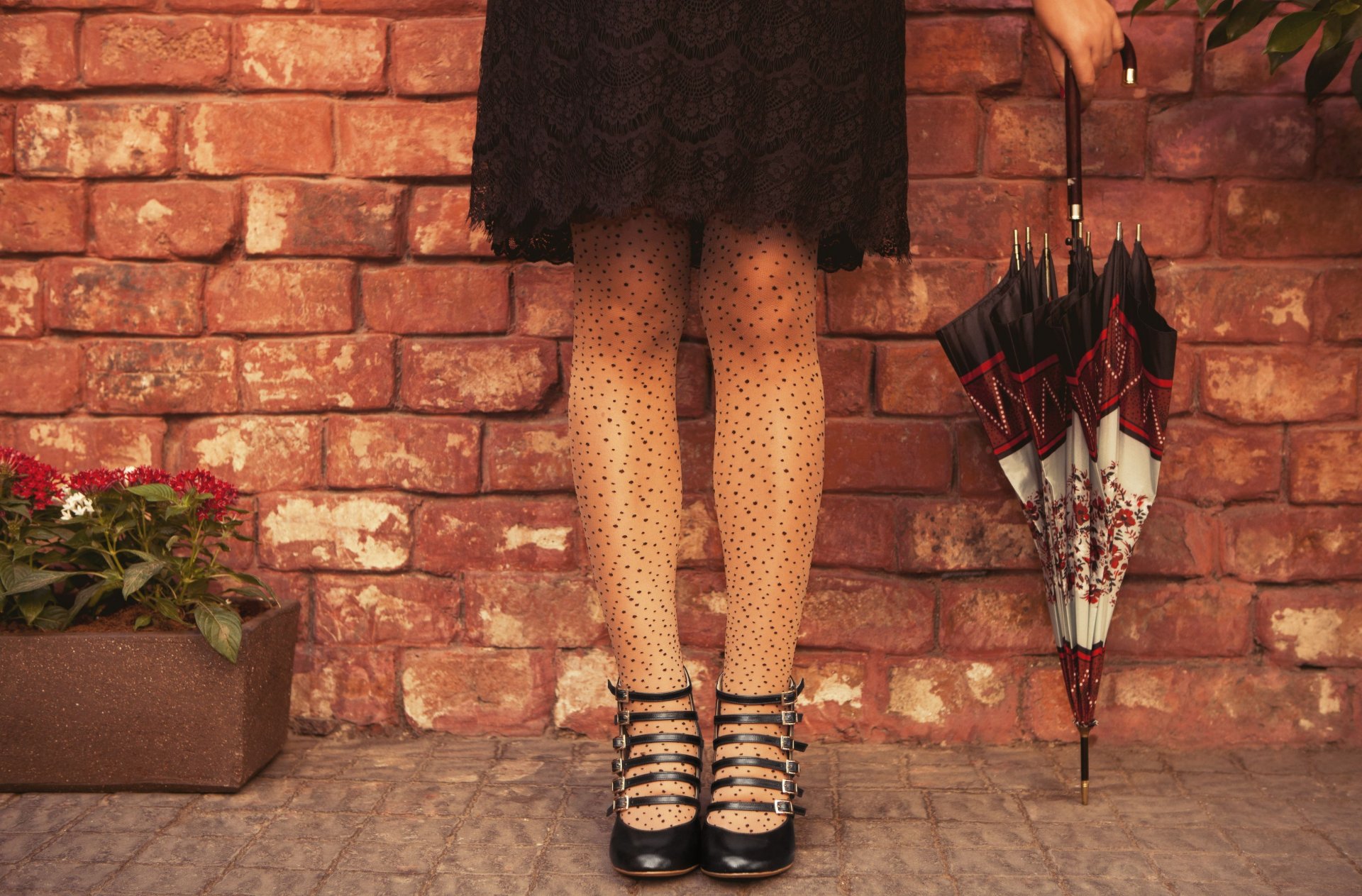 moods girl legs dress umbrella umbrella flowers flowers brick wall background wallpaper widescreen fullscreen widescreen