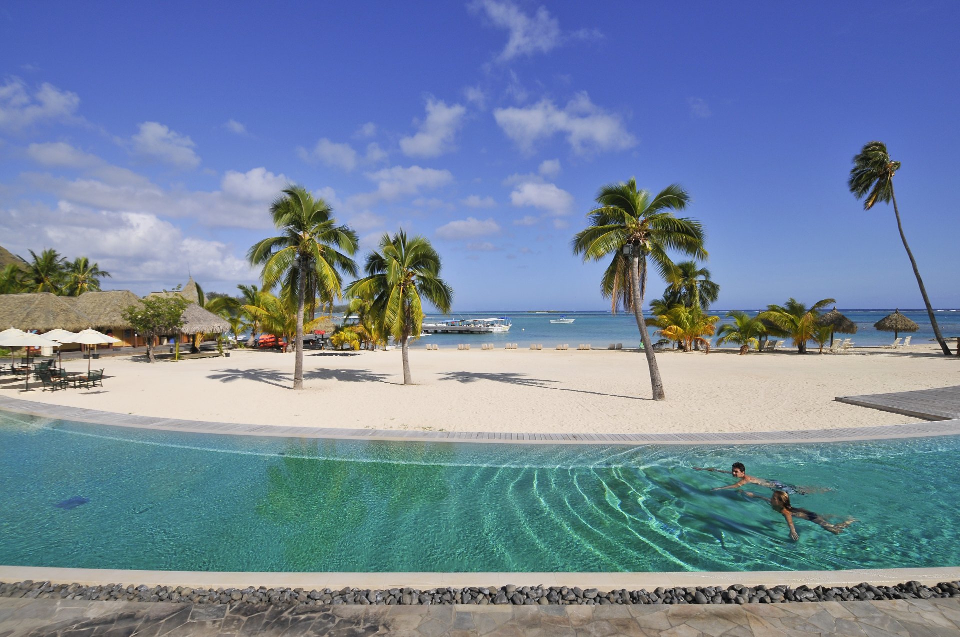 plage palmiers piscine loisirs se détendre exotic