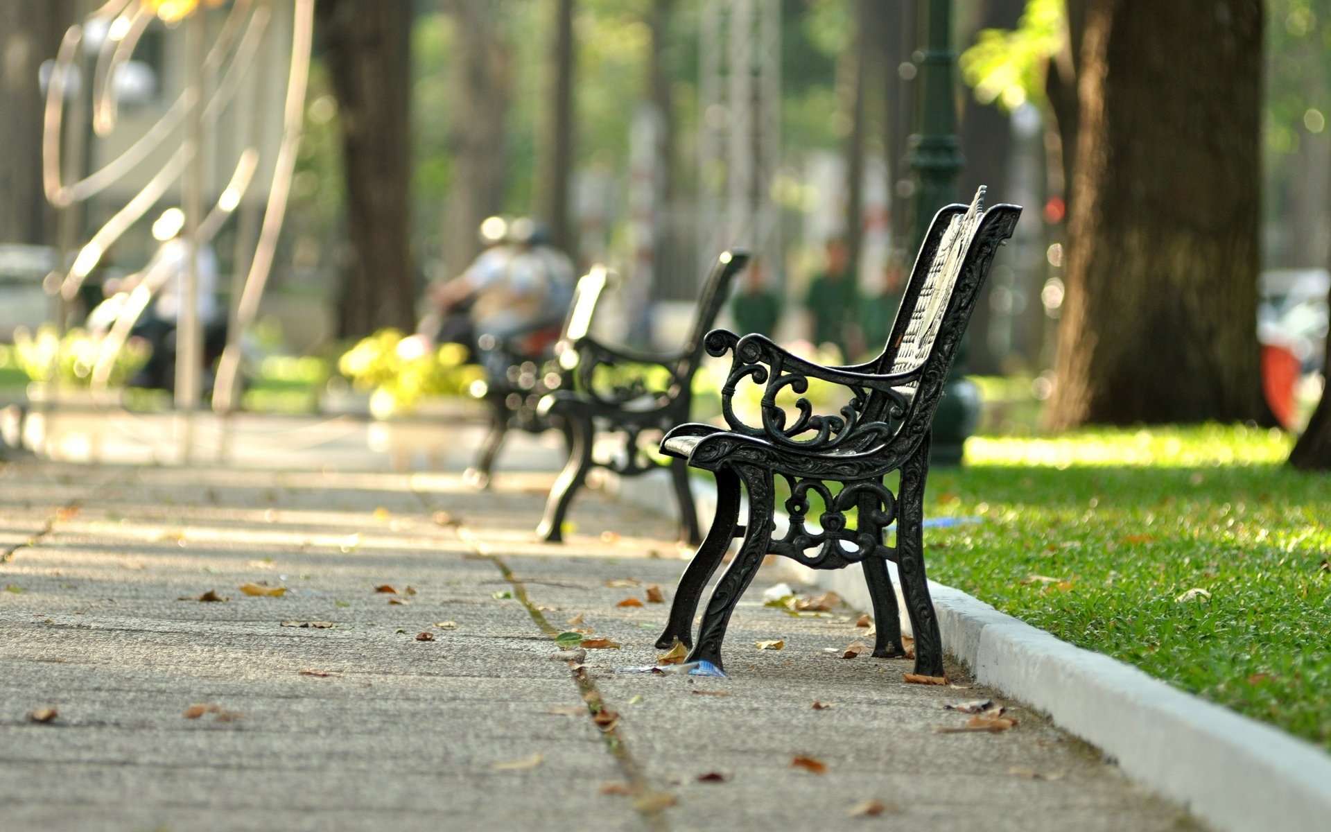 mood bench bench bench park square grass greenery leaves street background wallpaper widescreen fullscreen widescreen widescreen