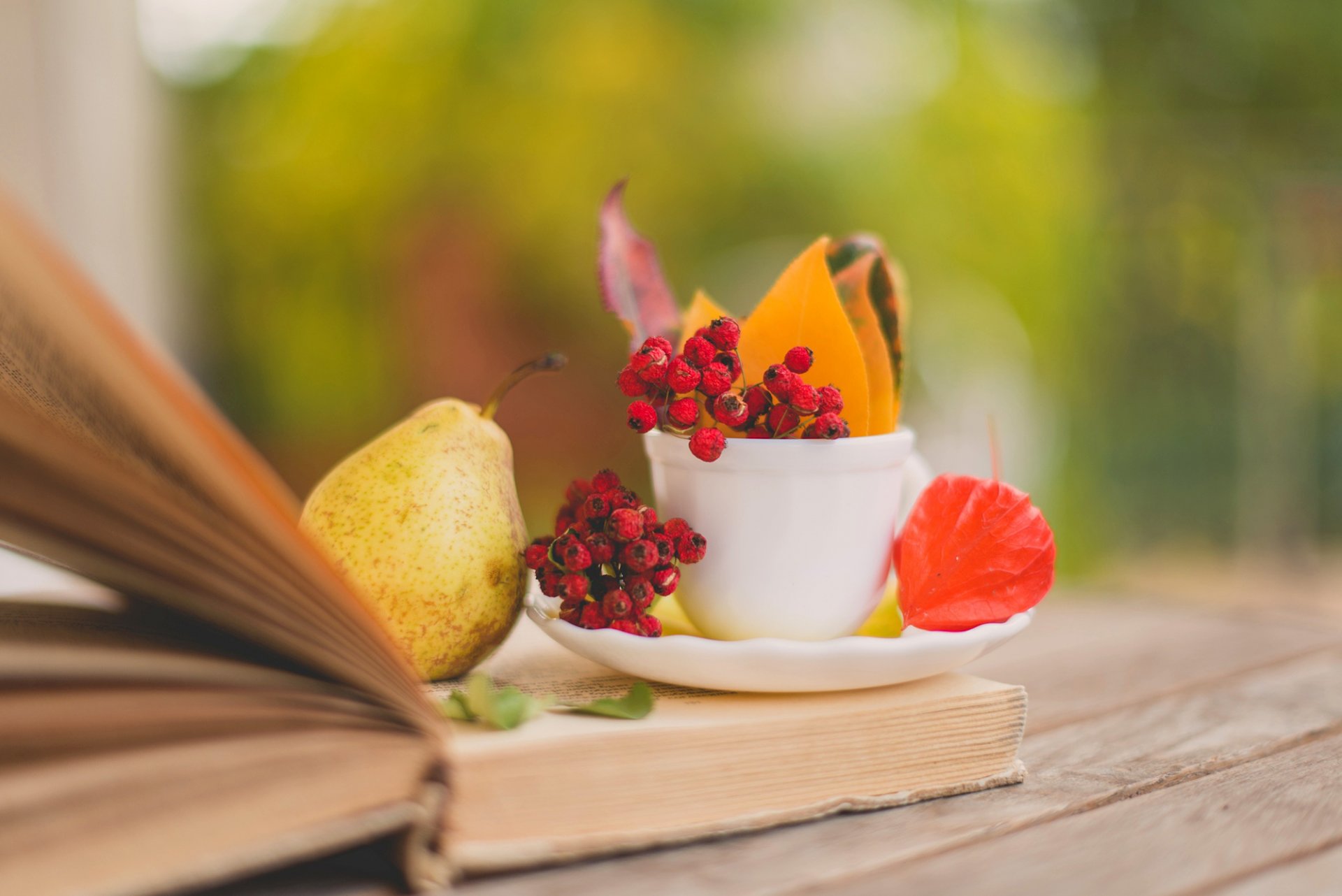 le livre la poire les feuilles les feuilles tasse soucoupe baie rouge automne