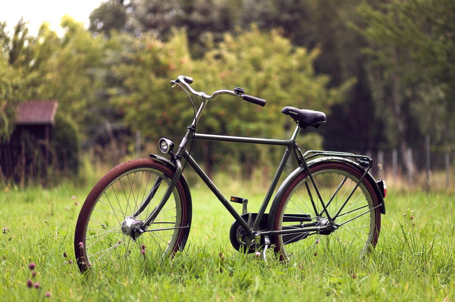 estado de ánimo bicicleta hierba vegetación fondo papel pintado pantalla ancha pantalla completa pantalla ancha pantalla ancha