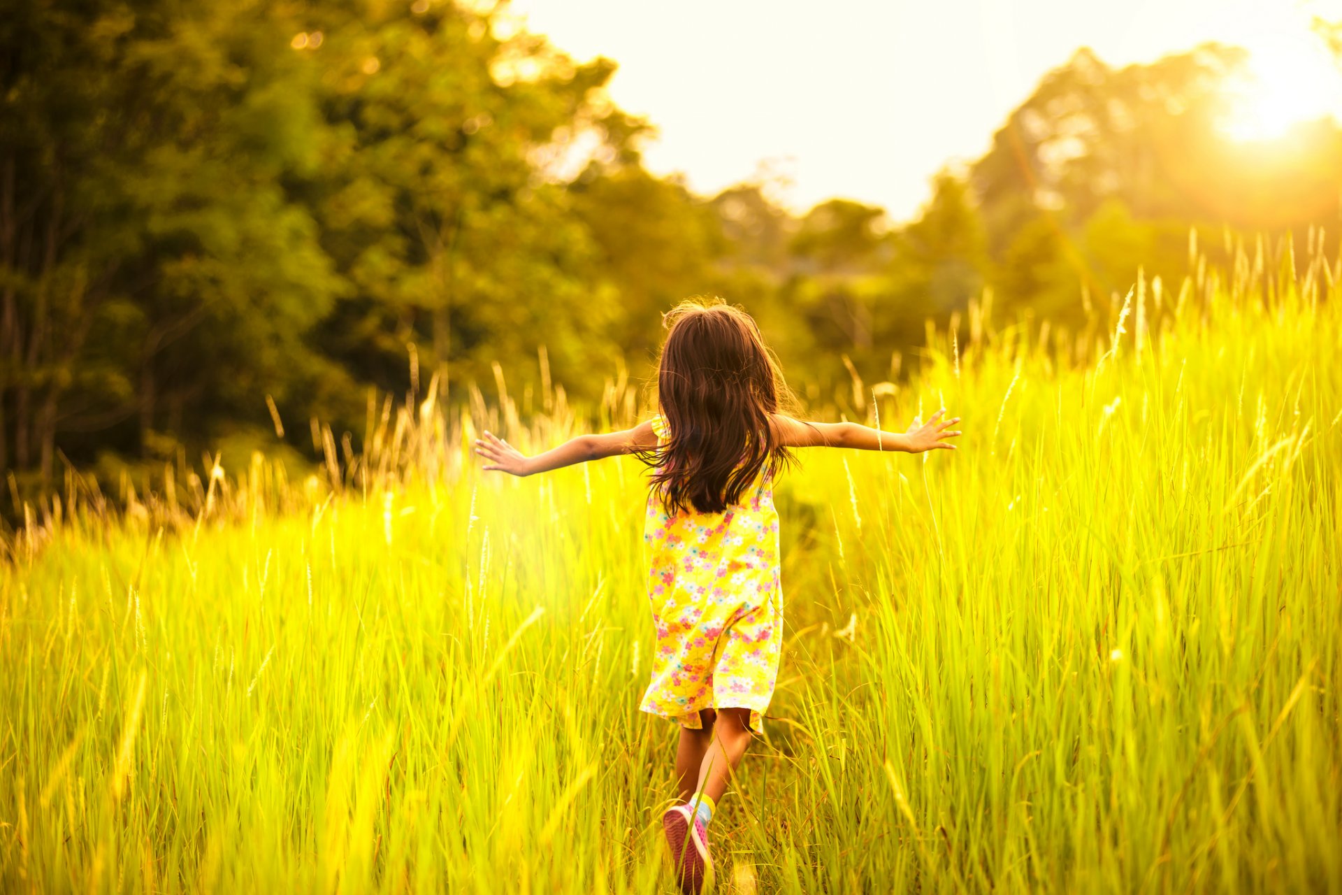 fille enfant été humeur chaud lumière court herbe