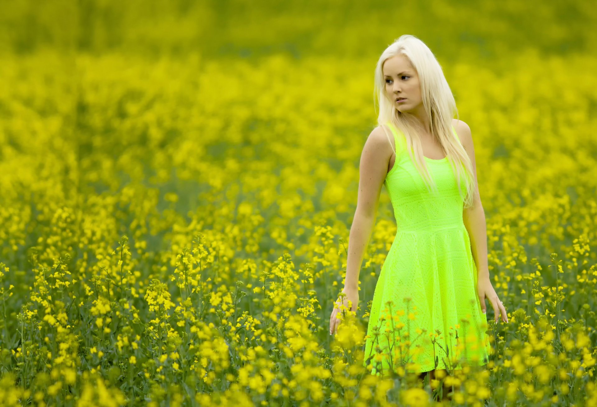 cathy the field girl dress flower