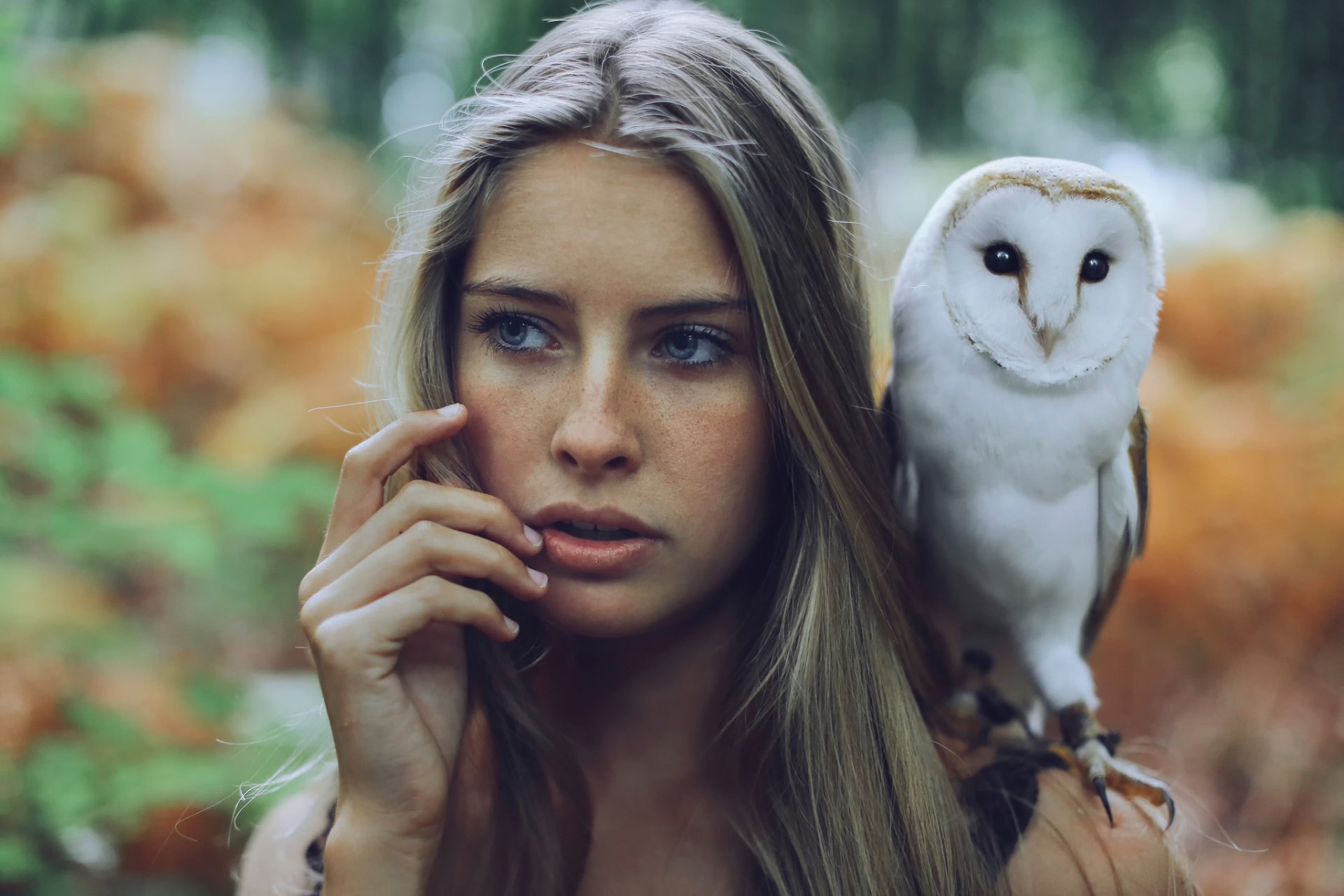 animal de compagnie hibou portrait taches de rousseur