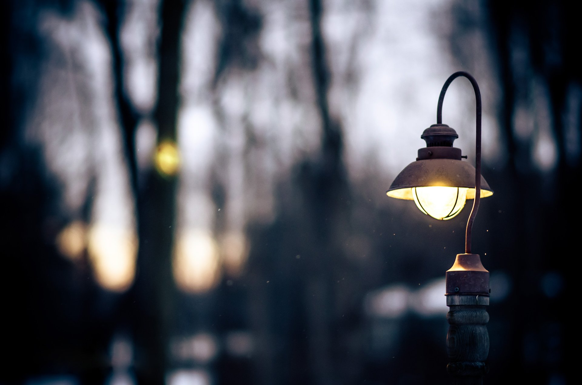 lantern light winter snowball fall evening nature trees twilight