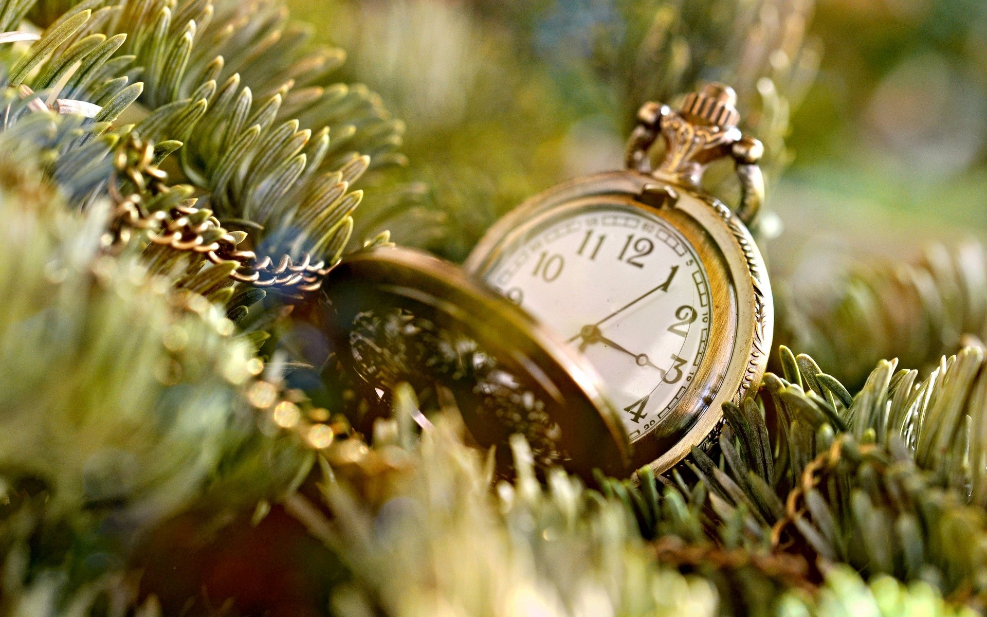 stimmungen uhr uhr zifferblatt zeit kette kette weihnachtsbaum nadeln baum hintergrund tapete widescreen vollbild widescreen widescreen