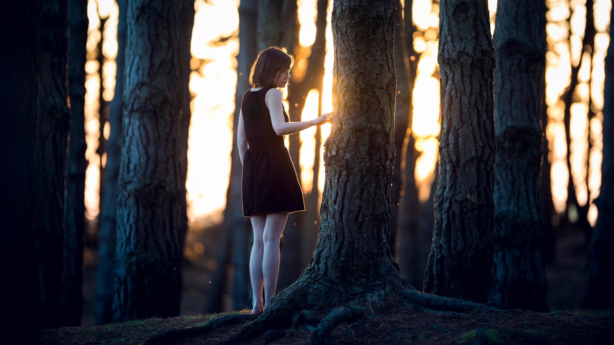 fille forêt solitude